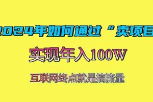 2024年如何通过“卖项目”赚取100W：最值得尝试的盈利模式