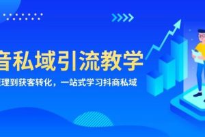 抖音私域引流教学：从项目原理到获客转化，一站式学习抖商 私域