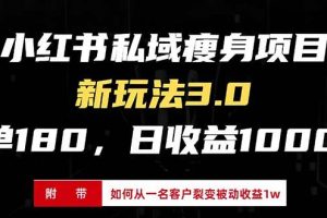 小红书瘦身项目3.0模式，新手小白日赚收益1000+（附从一名客户裂变收益…