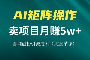 网创IP打造课，借助AI卖项目月赚5万+，含引流技术（共26节课）