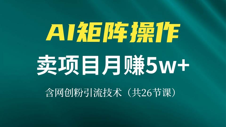 网创IP打造课，借助AI卖项目月赚5万+，含引流技术（共26节课）插图