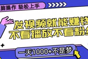 无脑操作，只要发视频就能赚钱？不看播放不看粉丝，小白轻松上手，一天…