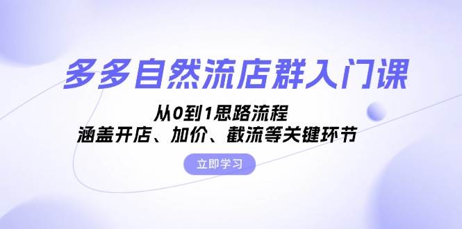 多多自然流店群入门课，从0到1思路流程，涵盖开店、加价、截流等关键环节插图