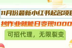 11月份最新小红书起名项目，抄作业就能日变现1000+，可招代理，无限裂变