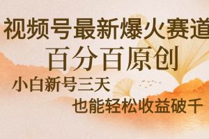 视频号最新爆火赛道，中老年粉深信不疑，百分百原创，新号三天收益轻松…