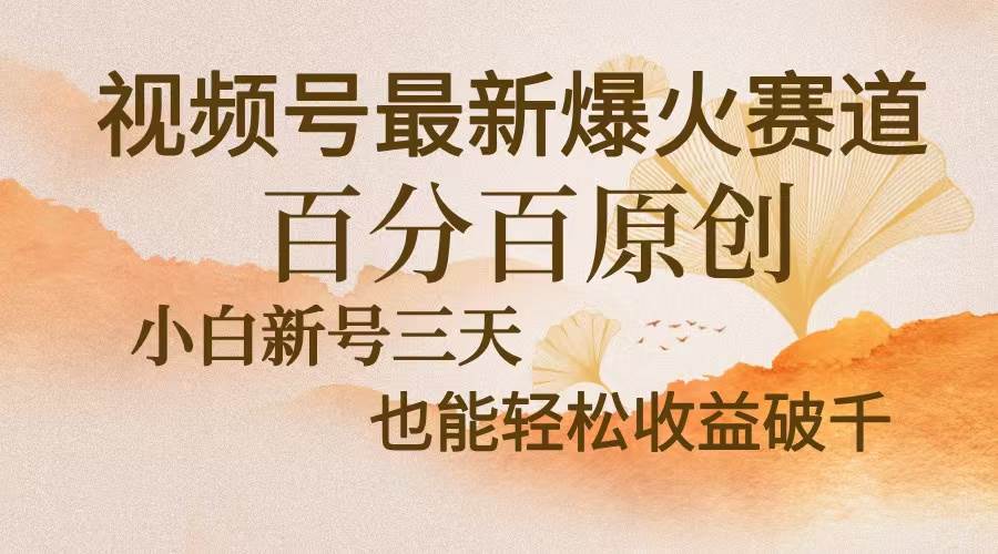 视频号最新爆火赛道，中老年粉深信不疑，百分百原创，新号三天收益轻松…插图