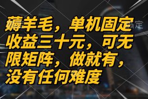 薅羊毛项目，单机三十元，做就有，可无限矩阵 无任何难度