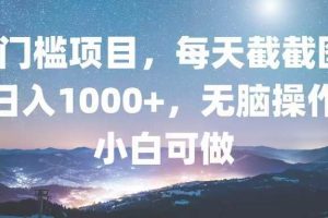 0门槛项目，每天截截图，日入1000+，轻松无脑，小白可做