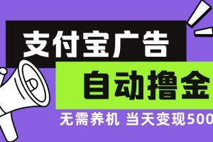 支付宝广告全自动撸金，无需养机，当天落地500+