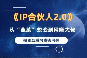 2024如何通过”知识付费“卖项目年入”百万“卖项目合伙人IP孵化训练营