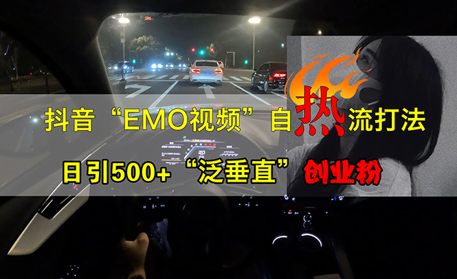 抖音EMO视频自热打法，日引500+“泛垂直”创业粉插图