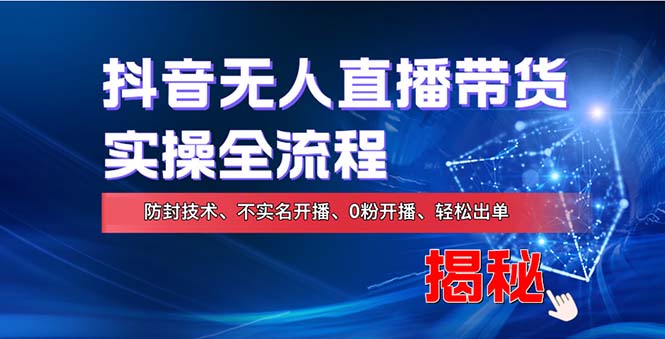 在线赚钱新途径：如何用抖音无人直播实现财务自由，全套实操流程，含…插图