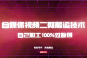 详细教你自媒体视频二剪搬运技术，自己加工100%过原创，无脑搬运