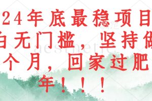 2024年底最稳项目，小白无门槛，坚持做三个月，回家过肥年！！！