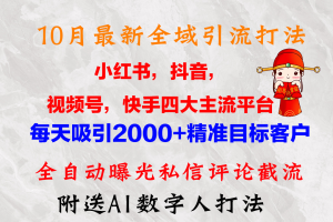 10月最新小红书，抖音，视频号，快手四大平台全域引流，，每天吸引2000…