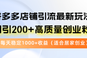 拼多多店铺引流最新玩法，日引200+高质量创业粉，每天稳定1000+收益（…