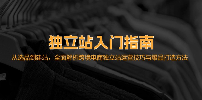 独立站入门指南：从选品到建站，全面解析跨境电商独立站运营技巧与爆品…插图