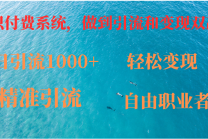 如何搭建自己的知识付费系统，做到引流和变现双赢