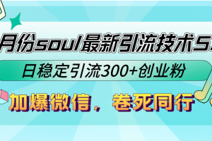 9月份soul最新引流技术5.0，日稳定引流300+创业粉，加爆微信，卷死同行