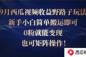 西瓜视频收益野路子玩法，新手小白简单搬运即可，0粉就能变现，也可矩…