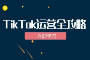 TikTok实战运营全攻略：从下载软件到变现，抖音海外版实操教程