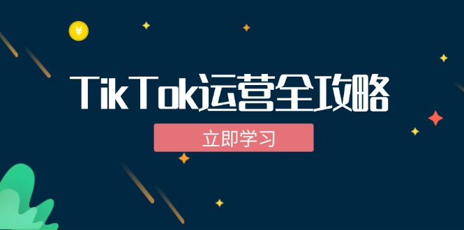 TikTok实战运营全攻略：从下载软件到变现，抖音海外版实操教程插图