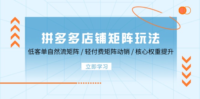 拼多多店铺矩阵玩法：低客单自然流矩阵 / 轻付费矩阵 动销 / 核心权重提升插图