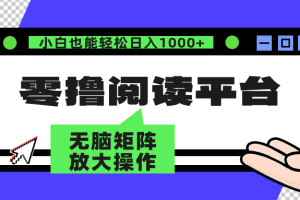 零撸阅读平台 解放双手、实现躺赚收益 矩阵操作日入3000+