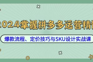 2024掌握拼多多运营精髓：爆款流程、定价技巧与SKU设计实战课