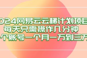 2024网易云梯计划项目，每天只需操作几分钟 一个账号一个月一万到三万