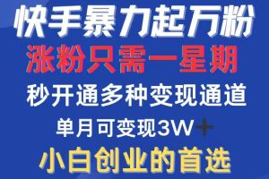 快手暴力起万粉，涨粉只需一星期，多种变现模式，直接秒开万合，小白创…