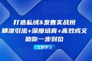 打造私域&发售实操班：精准引流+深度培育+高效成交，助你一步到位