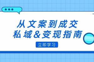 从文案到成交，私域&变现指南：朋友圈策略+文案撰写+粉丝运营实操