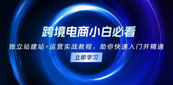 跨境电商小白必看！独立站建站+运营实战教程，助你快速入门并精通插图