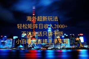 2025全新海外暴力玩法，操作简单，小白轻松上手