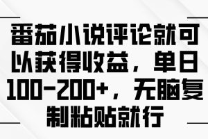 番茄小说评论就可以获得收益，单日100-200+，无脑复制粘贴就行