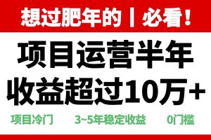 年前过肥年的必看的超冷门项目，半年收益超过10万+，