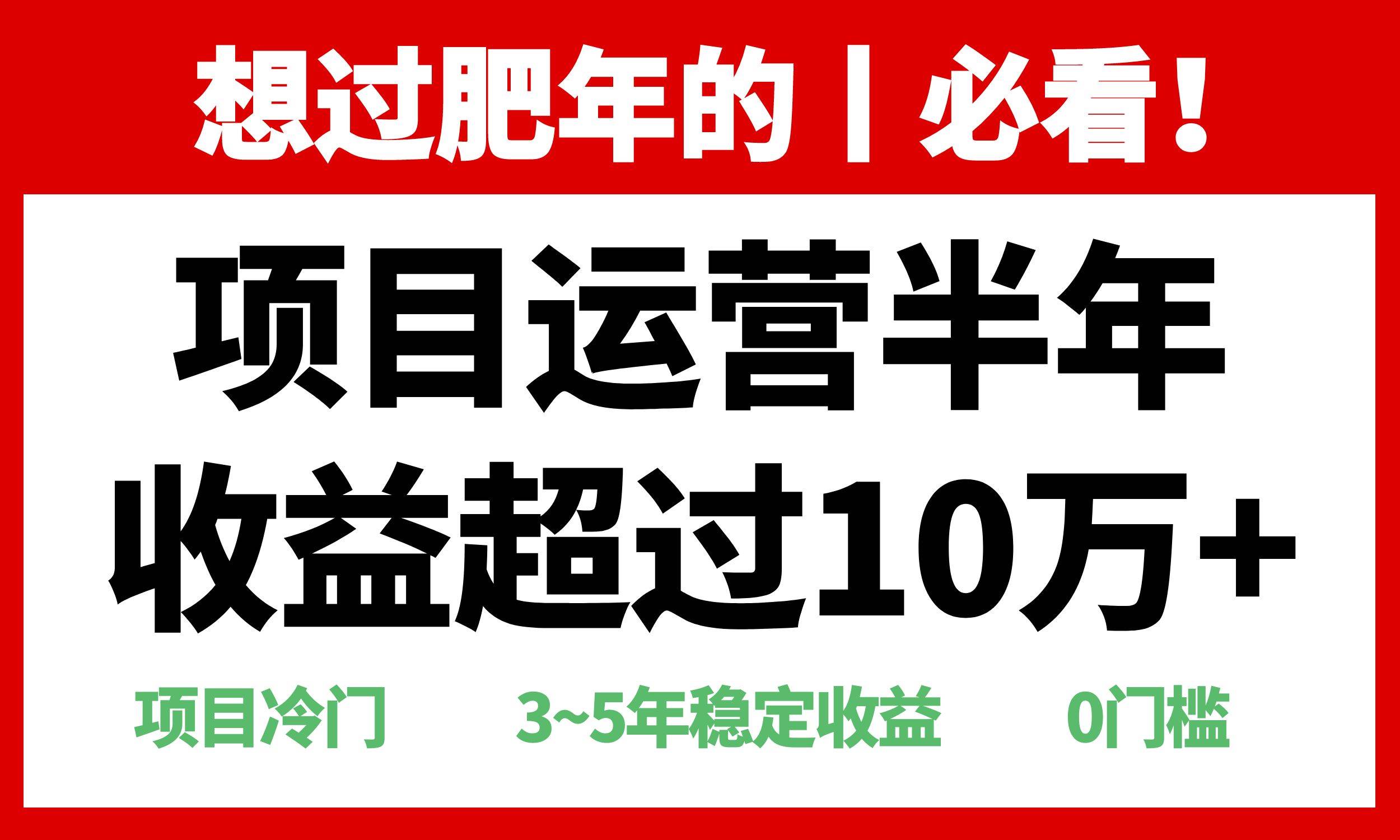 年前过肥年的必看的超冷门项目，半年收益超过10万+，插图