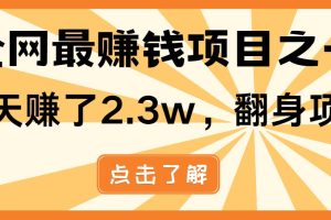 小白必学项目，纯手机简单操作收益非常高!年前翻身！