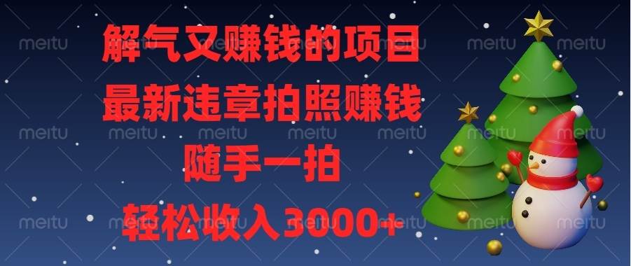 解气又赚钱的项目，最新违章拍照赚钱，随手一拍，轻松收入3000+插图