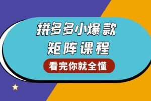 拼多多爆款矩阵课程：教你测出店铺爆款，优化销量，提升GMV，打造爆款群