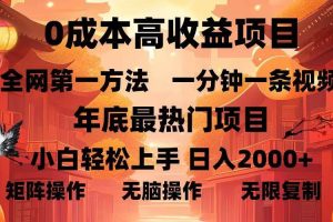 0成本高收益蓝海项目，一分钟一条视频，年底最热项目，小白轻松日入…