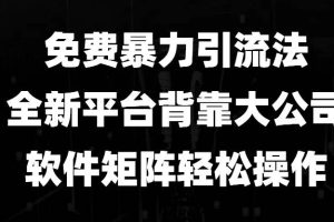 免费暴力引流法，全新平台，背靠大公司，软件矩阵轻松操作