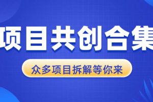 项目共创合集，从0-1全过程拆解，让你迅速找到适合自已的项目