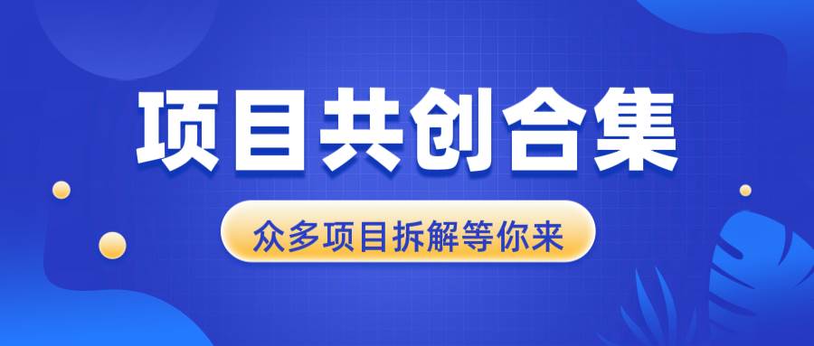 项目共创合集，从0-1全过程拆解，让你迅速找到适合自已的项目插图