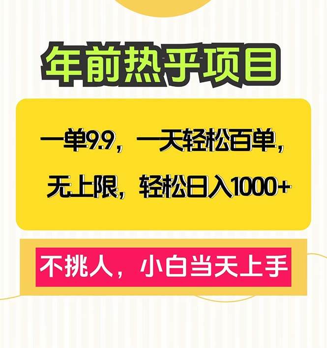 一单9.9，一天百单无上限，不挑人，小白当天上手，轻松日入1000+插图