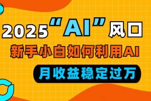 2025“ AI ”风口，新手小白如何利用ai，每月收益稳定过万