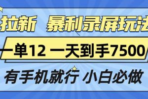 拉新暴利录屏玩法，一单12块，一天到手7500，有手机就行