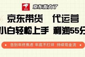 京东带货 代运营 利润55分 告别年终焦虑 年底不打烊 持续现金流