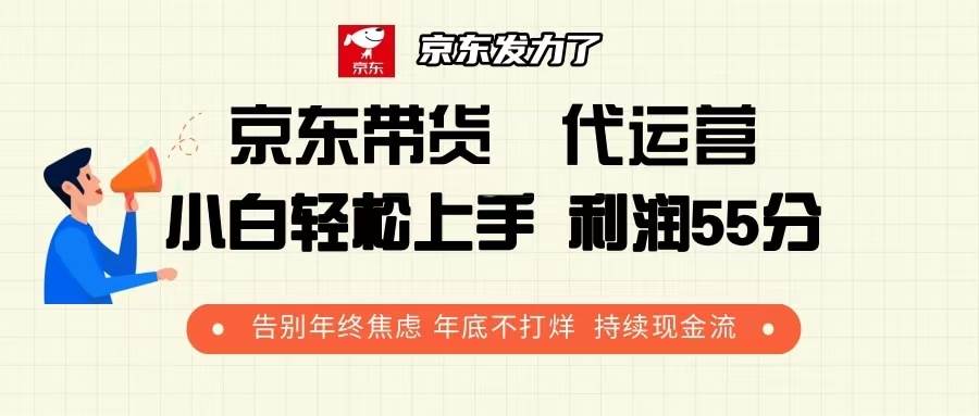 京东带货 代运营 利润55分 告别年终焦虑 年底不打烊 持续现金流插图